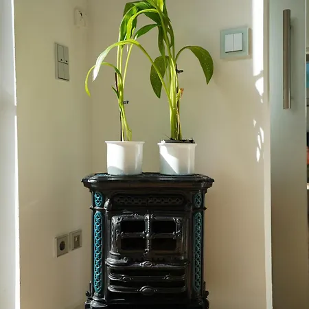 Apartment In Schilksee